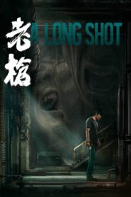 A Long Shot 2024 on netflix