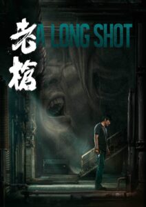 A Long Shot 2024 on netflix