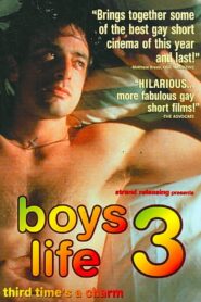 Boys Life 3 2000 on netflix