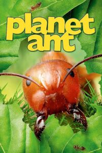Planet Ant: Life Inside The Colony 2013 on netflix