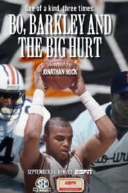 Bo, Barkley and the Big Hurt 2014 on netflix