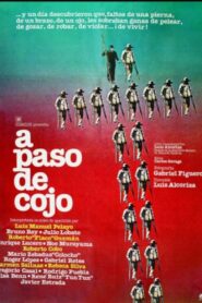 At a Lame Pace 1980 on netflix