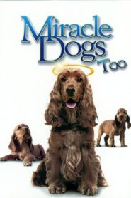 Miracle Dogs Too 2006 on netflix