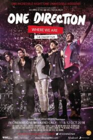 One Direction: Where We Are – The Concert Film 2014 on netflix