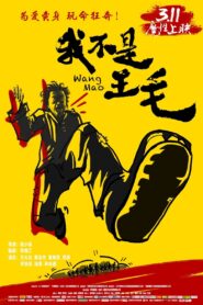 Wang Mao 2016 on netflix