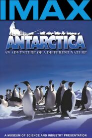 Antarctica: An Adventure of a Different Nature 1991 on netflix