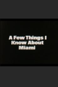 A Few Things I Know About Miami 1986 on netflix