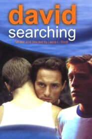 David Searching 1997 on netflix
