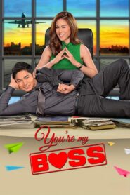 You’re My Boss 2015 on netflix