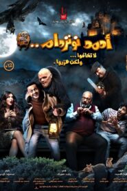 Ahmed Notredame 2021 on netflix