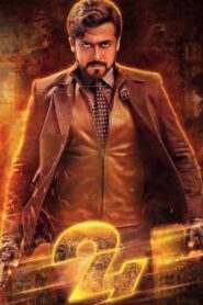 24 2016 on netflix