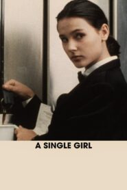 A Single Girl 1995 on netflix