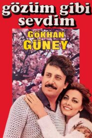 Gözüm Gibi Sevdim 1982 on netflix