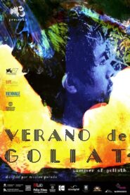 Summer of Goliath 2011 on netflix