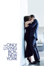 The Only Living Boy in New York 2017 on netflix