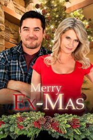 Merry Ex-Mas 2014 on netflix