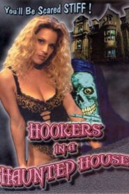 Hookers in a Haunted House 1999 on netflix