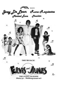 Elvis & James 1989 on netflix
