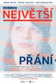 Největší přání 2012 on netflix