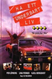 Have a Wonderful Life 1992 on netflix