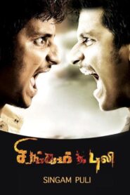 Singam Puli 2011 on netflix