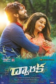 Dwaraka 2017 on netflix