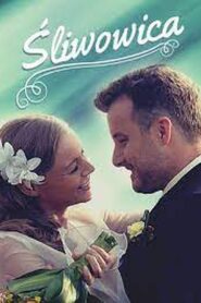 Śliwowica 2013 on netflix