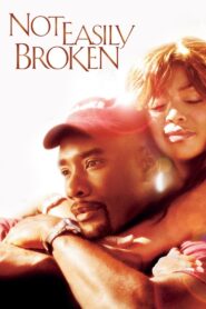 Not Easily Broken 2009 on netflix
