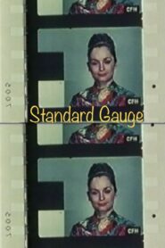 Standard Gauge 1986 on netflix