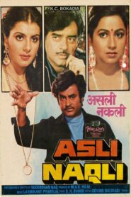 Asli Naqli 1986 on netflix
