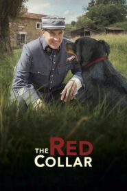 The Red Collar 2018 on netflix