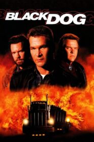 Black Dog 1998 on netflix