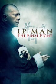 Ip Man: The Final Fight 2013 on netflix