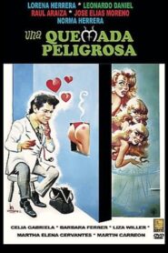 Una quemada peligrosa 1991 on netflix