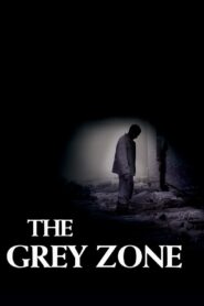 The Grey Zone 2001 on netflix
