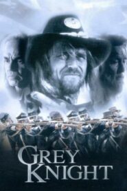 Grey Knight 1993 on netflix