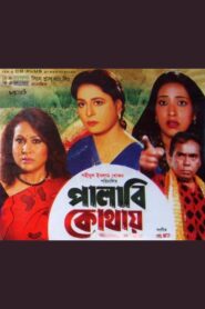 Palabi Kothay 1997 on netflix
