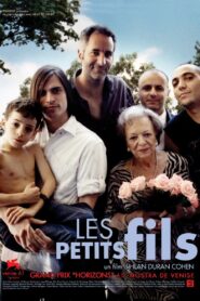 Grand Sons 2004 on netflix