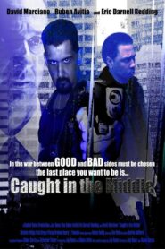 Caught in the Middle 2009 on netflix