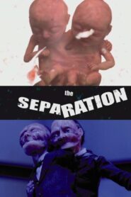 The Separation 2003 on netflix