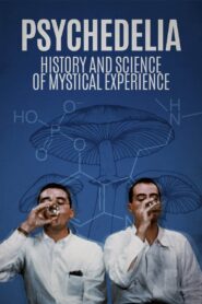 Psychedelia 2021 on netflix