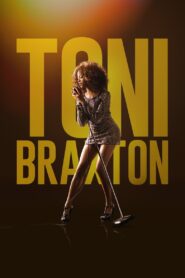 Toni Braxton: Unbreak My Heart 2016 on netflix