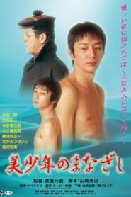 Bishônen no manazashi 2003 on netflix