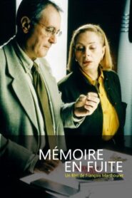 Mémoires en fuite 2000 on netflix