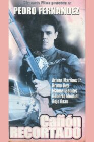Cañón recortado 1992 on netflix