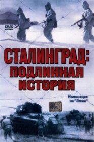 Stalingrad 2003 on netflix