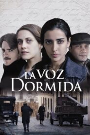 The Sleeping Voice 2011 on netflix