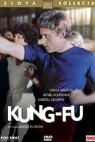 Kung-fu 1980 on netflix