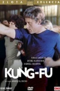 Kung-fu 1980 on netflix
