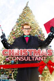 The Christmas Consultant 2013 on netflix